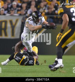 1. Oktober 2015 – Pittsburgh, PA, USA – Baltimore Ravens Tight End Maxx Williams zieht sich am Donnerstag, 1. Oktober 2015, im zweiten Quartal gegen die Pittsburgh Steelers im Heinz Field in Pittsburgh zum ersten Mal zurück. (Bild: © Karl Merton Ferron/TNS via ZUMA Wire) Stockfoto