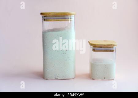 Weizensauerteig in Gläsern. Platz für Text. Stockfoto