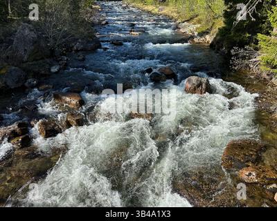 Kristallklarer Fluss mit seiner mächtigen Strömung rauscht durch eine felsige Landschaft in Nordschweden. Stockfoto