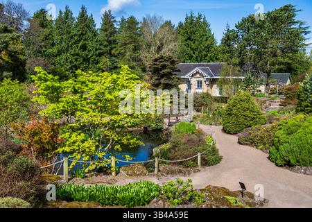 Rock Garden Teich, mit Caledonian Hall im Hintergrund, im Royal Botanic Garden in Edinburgh, Schottland, Großbritannien Stockfoto