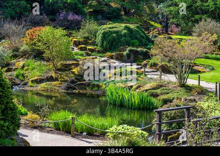 Rock Garden Teich im Royal Botanic Garden in Edinburgh, Schottland, Großbritannien Stockfoto