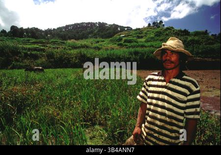 Oktober 2014 - Philippinen - Farmer. Reisfelder. Sagada. Zentrale Kordillera. Luzon. Von Banaue können Sie weiter nach Sagada (mit Jeepney) oder nach Batad (mit Wanderungen) fahren. Beide Orte bieten nicht nur Reisterrassen, sondern auch Wasserfälle, Höhlen und vieles mehr. Obwohl Sagada bereits eine Internetverbindung und warmes fließendes Wasser erworben hat, ist Batad immer noch ein Ort, an dem man etwas Zeit von allem braucht. Sagada hat auch eine Reihe von Deinty cafÃ und Restaurants, und Sie werden in der Lage sein, das Kopi Alamid zu probieren, der lokale Name für Kopi Luwak, das teuerste und Stockfoto