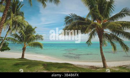 Üppige Kokospalmen wachsen an einem wunderschönen Sandstrand mit türkisfarbenem Wasser, Korallenriff Lagune und blauem Himmel. Abgelegenes wildes Naturparadies, exotische Sommerreise mit Luxus. Natürlicher Hintergrund. Drohnenaufnahme Stockfoto