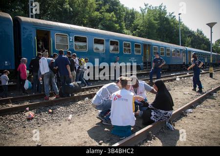 14. September 2015 - Eine geflüchtete Frau wird von freiwilligen Ärzten am Bahnhof Roszke behandelt, bevor sie in den Zug nach Österreich steigt. - Die ungarischen Behörden waren auf Züge angewiesen, um Flüchtlinge von der Ungarisch-serbischen Grenze nach Österreich zu transportieren, da sie die Grenze zu Serbien innerhalb der nächsten Stunden schließen wollten. 14. September 2015. (Kreditbild: © Geovien so via ZUMA Wire) Stockfoto
