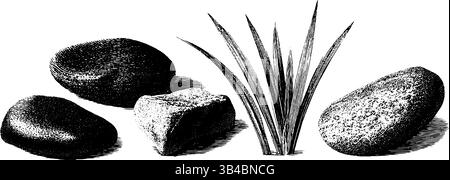 Graviertes Illustrationsset mit Kieselsteinen und Holzelementen für naturinspiriertes Design. Stock Vektor