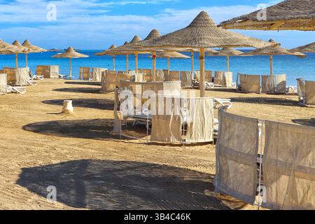 Eine Reihe von Strohschirmen und leeren Liegen mit Sichtschutz an einem ruhigen Sandstrand in einem Resort am Roten Meer in Sahl Hasheesh, Ägypten. Stockfoto