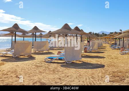 Eine Reihe von Strohschirmen und leeren Liegen mit Sichtschutz an einem ruhigen Sandstrand in einem Resort am Roten Meer in Sahl Hasheesh, Ägypten. Stockfoto