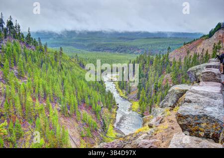 Gibbon Falls Wasserfall Yellowstone National Park. Gibbon River Wasserfälle, Yellowstone Caldera Rim, Madison Junction, Wyoming Stockfoto