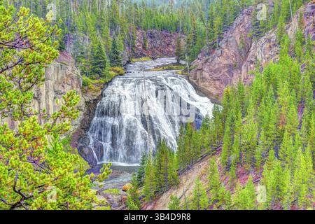 Gibbon Falls Wasserfall Yellowstone National Park. Gibbon River Wasserfälle, Yellowstone Caldera Rim, Madison Junction, Wyoming Stockfoto