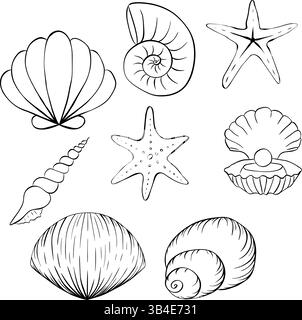 Muscheln Illustrationsset. Symbol für die grafische Vektorlinie isoliert. Banner, Poster, Geschenkpapier, Aufkleber, Druck, modernes Textildesign. Färbung Sie Stock Vektor