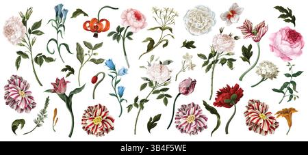 Großes Ölgemälde Rokoko-Stillleben isoliert Blumen. Vektor. Stock Vektor