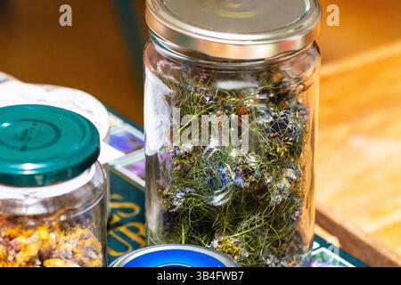 Glasgläser gefüllt mit getrockneten Kräutern und Blumen auf einem Tisch für Kräutertee, Handwerk oder natürliche Wellness-Nutzung. Stockfoto