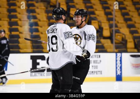 22. September 2015 – Boston, Massachusetts, USA – Boston Bruins Linksflügel Matt Beleskey (39) und Linksflügel David Pastrnak (88) sprechen während des Boston Bruins Trainingslagers im TD Garden in Boston, Massachusetts. Eric Canha/CSM(Bild: © Eric Canha/CSM via ZUMA Wire) Stockfoto