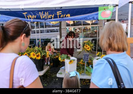 19. September 2015 - Greenville, SC, Vereinigte Staaten von Amerika - der Bauernmarkt entlang der Main Street im Zentrum von Greenville, South Carolina. (Bild: © Richard Ellis Via ZUMA Wire) Stockfoto