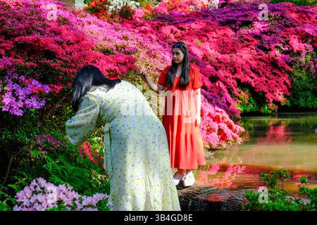 London, Großbritannien. 30. April 2025. Besucher können Fotos von den Blüten in der Isabella Plantation im Richmond Park machen, während die Mini-Hitzewelle in Großbritannien trifft. Die Temperaturen werden am letzten Apriltag 27 Grad celsius erreichen, bevor sie am Wochenende eintauchen und nächste Woche wieder zu den hohen Teenagern zurückkehren. Quelle: Eleventh Photography/Alamy Live News Stockfoto