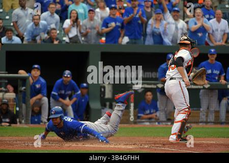 30. September 2015 - Baltimore, MD, USA - Edwin Encarnacion Belly der Toronto Blue Jays stürmt auf die Heimplatte hinter dem Baltimore Orioles-Fänger Steve Clevenger und erzielt am Mittwoch, 30. September 2015 einen Basehit für den ersten Lauf des Spiels im Oriole Park in Camden Yards in Baltimore. Der Sieg der Blue Jays 15-2 im ersten Spiel eines Doppelspiels brachte den A.L. East Titel. (Bild: © Karl Merton Ferron/TNS via ZUMA Wire) Stockfoto