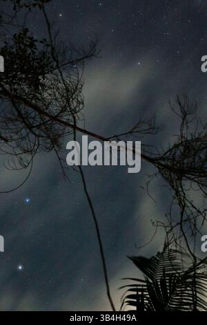 Silent Constellations – Ein nächtlicher Blick von Santo Amaro da Imperatriz Stockfoto