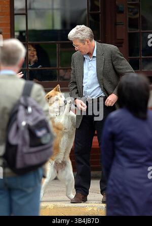 5. Juni 2008 - 06-05-2008 Ernest A. Brown - Richard Gere, am Set des Films Hachiko: A Dog's Story, der diese Woche in WoonSocket, R.I. gedreht wird, verbringt einige Zeit mit seinem Co-Star, bevor die Dreharbeiten beginnen, wie Statisten und Filmcrew am Donnerstag schauen. Szenen werden im Film gedreht..K58317EB.**EXKLUSIV*(Credit Image: © Globe Photos/ZUMAPRESS.com) Stockfoto