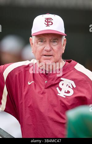 29. März 2011: Mike Martin, Head Coach der Florida State Seminoles, beobachtet aus dem Dugout, während die Florida Gators und Florida State Seminoles auf dem Baseballgelände von Jacksonville in Jacksonville, Florida, spielten. Florida State besiegte Florida mit 5:2. (Bild: © Gray Quetti/Cal Sport Media/ZUMAPRESS.com) Stockfoto