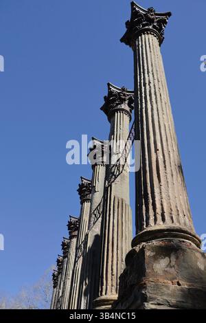 Windsor Mansion Ruinen Der Korinthischen Säulen Stockfoto