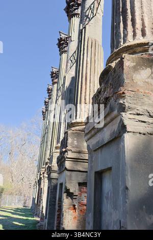 Windsor Mansion Ruinen Der Korinthischen Säulen Stockfoto