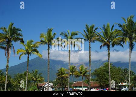 Ein typischer ländlicher Blick mit Kokospalmen im Vordergrund und Bergen im Hintergrund. Stockfoto