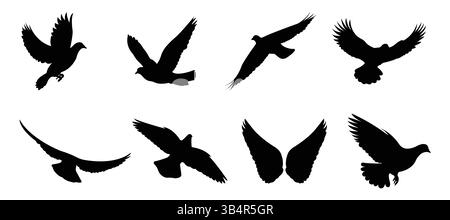 Fliegender Vogel Silhouetten Kollektion Set auf weißem Hintergrund Stock Vektor