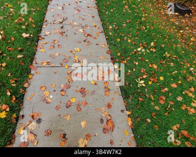 Herbst Stockfoto