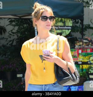 Ashley Greene: Lebensmittel in Hollywood, Kalifornien - 15. August 2013 Stockfoto