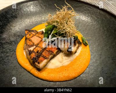 Gegrillter Lachs auf Tomatensoße und geriebenem Gemüse aus nächster Nähe Stockfoto