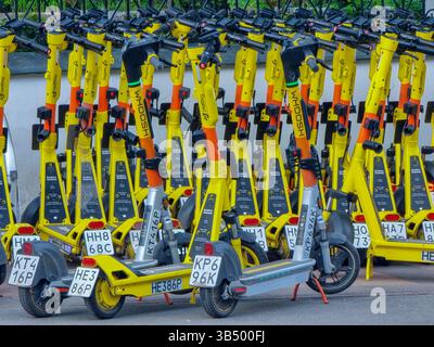 Nahaufnahme von vielen hellgelben E-Scootern, die auf dem Bürgersteig/Bürgersteig geparkt waren; Whoosh Stockfoto
