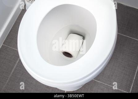 Verstopfte Toilettenschüssel mit Toilettenpapierrolle. Toilettenverstopfung oder Verstopfungsreinigung. Haustier- oder Kinderentwässerungsunfälle im Badezimmer oder Sabotageakte durch Disgruntle Ten Stockfoto