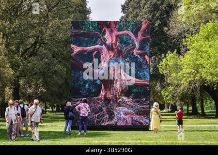 London, Großbritannien. Mai 2025. Mitglieder der Öffentlichkeit sehen sich die Installation an und interagieren mit ihr. Kew Gardens präsentiert die Weltpremiere der neuen interaktiven digitalen Kunstinstallation „of the Oak“ von Marshmallow Laser Feast. Die Installation zeigt die Geschichte der Lucombe-Eiche, einem der ältesten und wichtigsten Bäume Kews und ist Teil von Kews Sommerfeier der Bäume. Die Ausstellung findet vom 3. Mai bis 28. September statt. Quelle: Imageplotter/Alamy Live News Stockfoto