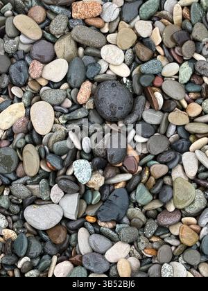 Dieses Bild zeigt eine hochauflösende Nahaufnahme von glatten, nassen Kieseln und Steinen in einer Vielzahl von natürlichen Farben, einschließlich Grau, Braun, Grün und Schwarz. Stockfoto