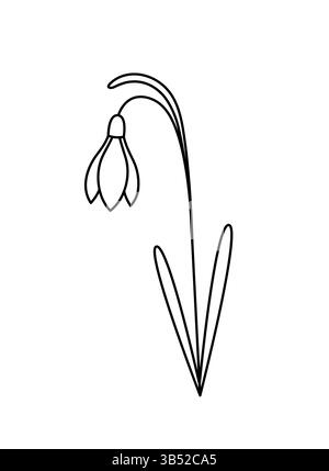 Lily aus dem Tal. Waldblühende Pflanze. Handgezeichnetes Skizzensymbol der Frühlingsblume. Isolierte Vektorillustration im Doodle-Line-Stil. Stock Vektor
