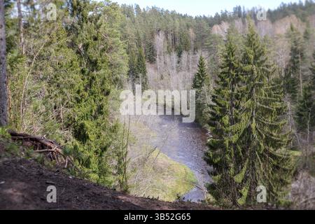 Von oben ist ein sich windender Fluss sichtbar, der durch ein bewaldetes Tal mit steilen, rötlich-braunen Ufern fließt, wo Nadelbäume und Laubbäume wachsen, und Stockfoto