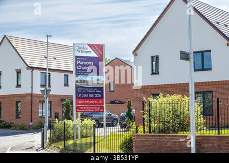 Taylor Wimpey, neue Häuser vor neuen Häusern. Stockfoto