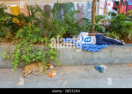 Mann und Hund schlafen auf Gehsteig in der Church Street, Bangalore, Karnataka, Indien, Asien Stockfoto