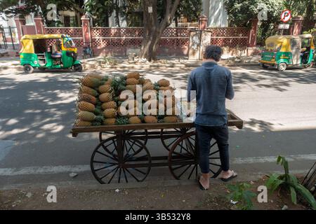 Straßenverkäufer, der Ananas in Bangalore, Karnataka, Indien verkauft Stockfoto