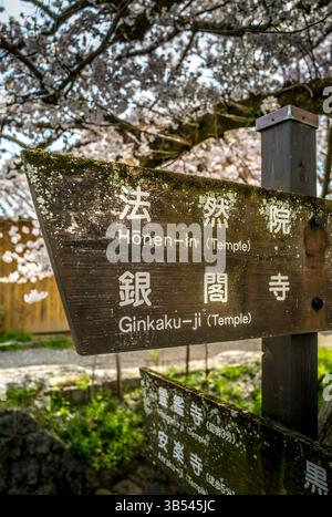 Der Weg des Philosophen mit Zeichen und Kirschblüte in Blüte, Kyoto Japan Stockfoto