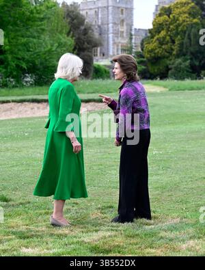 Windsor, Großbritannien. Mai 2025. WINDSOR, VEREINIGTES KÖNIGREICH 20250501 der schwedische König Carl Gustaf und Königin Silvia treffen sich am 1. Mai 2025 auf Windsor Castle außerhalb Londons mit dem britischen König Karl III. Und der Königin Camilla. Das schwedische Königspaar überreicht ihr Krönungsgeschenk in Form einer Eiche aus Solliden auf Öland. Foto: Fredrik Sandberg/TT/Code 10080 Credit: TT News Agency/Alamy Live News Stockfoto