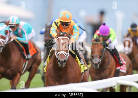 September 2022, Franklin, KY, USA: 10. September 2022: Somelikeithotbrown (NY) #4, geritten von Jose Ortiz, gewinnt am 10. September 2022 die Winstar Mint Millions (Klasse 3) in Kentucky Downs in Franklin, Kentucky. Matt Wooley für Eclipse Sportswire (Bild: © Matt Wooley/CSM via ZUMA Press Wire) Stockfoto