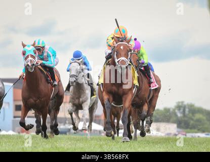 September 2022, Franklin, KY, USA: 10. September 2022: Somelikeithotbrown (NY) #4, geritten von Jose Ortiz, gewinnt am 10. September 2022 die Winstar Mint Millions (Klasse 3) in Kentucky Downs in Franklin, Kentucky. Matt Wooley für Eclipse Sportswire (Bild: © Matt Wooley/CSM via ZUMA Press Wire) Stockfoto