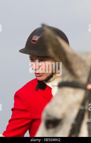 Fahrer bei der Hubertusjagt 2014 in Dyrehaven nördlich von Kopenhagen. Die Hubertus Hunt ist eine jährliche Veranstaltung im Deer Park in Klampenborg im Norden Stockfoto