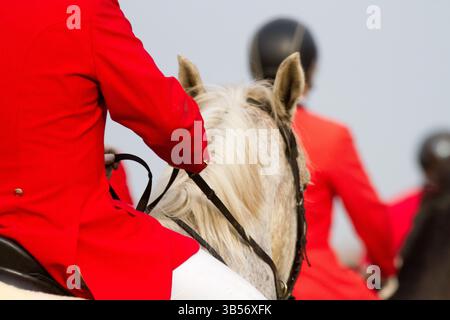 Fahrer bei der Hubertusjagt 2014 in Dyrehaven nördlich von Kopenhagen. Die Hubertus-Jagd ist eine jährliche Veranstaltung im Deerpark in Klampenborg im Norden Stockfoto