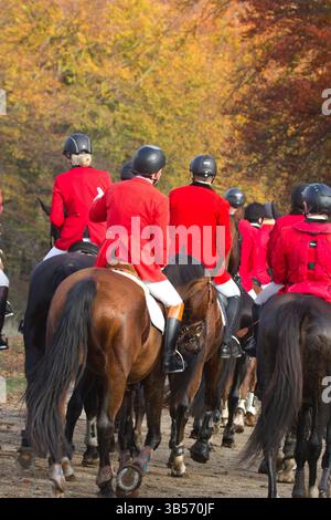 Fahrer bei der Hubertusjagt 2014 in Dyrehaven nördlich von Kopenhagen. Die Hubertus-Jagd ist eine jährliche Veranstaltung im Deerpark in Klampenborg im Norden Stockfoto