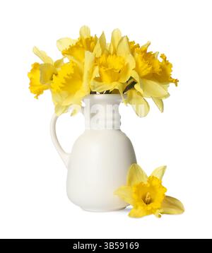 Gelbe Narzissen in Vase isoliert auf weiß Stockfoto