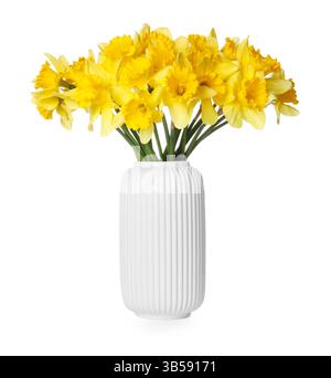 Gelbe Narzissen in Vase isoliert auf weiß Stockfoto