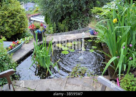 Ein kleiner Teich an einem steilen Hügel in Matlock, Derbyshire, bietet eine ruhige Aussicht Stockfoto