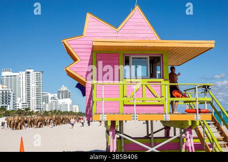 Miami Beach Florida, öffentlicher Strand Atlantik, Art Basel jährliche Veranstaltung, die Great Elephant Migration, Holzelefanten, Koexistenz Kollektiv, Designer S Stockfoto